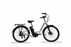 Delivery E-bikes