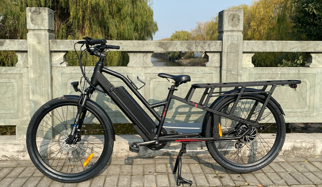 Vyron 2024 electric bike