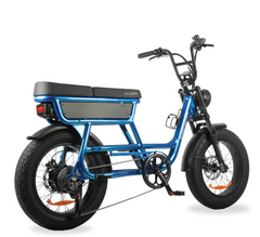SMARTMOTION RENEGADE