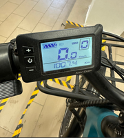 Ex Rental VYRON HAZ-E CARGO BIKE