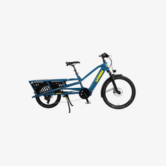 YUBA SPICY CURRY V4 2024