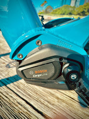YUBA SPICY CURRY V4 2024