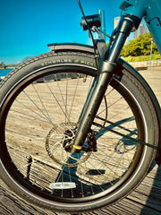 YUBA SPICY CURRY V4 2024
