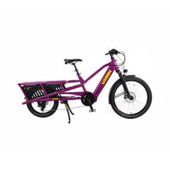 YUBA SPICY CURRY V4 2024